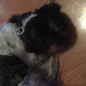 Meet your Posher, Aaron